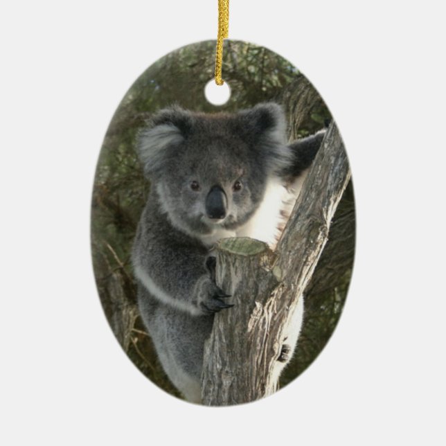 Gullig Koala som klättrar ett träd Julgransprydnad Keramik (Framsidan)