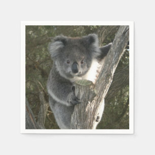 Gullig Koala som klättrar ett träd Pappersservett
