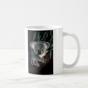Gullig Koalabjörn Kaffemugg