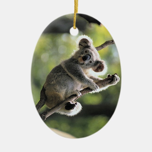 Gullig Koalaprydnad Julgransprydnad Keramik (Framsidan)
