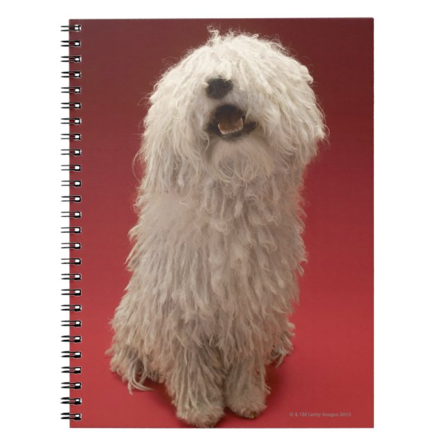 Gullig Komondor hund Anteckningsbok Med Spiral (Framsidan)