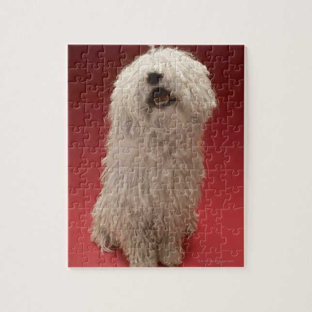 Gullig Komondor hund Pussel (Vertikal)