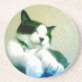 gullig lagd tillbaka kattunge underlägg sandsten