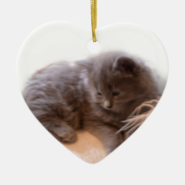 Gullig lång haired grå färgkattunge för © P Julgransprydnad Keramik (Framsidan)