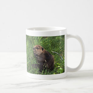 Gullig lite bäver kaffemugg
