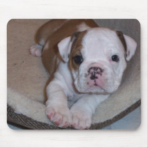 Gullig lite bulldoggvalp Mousepad Musmatta