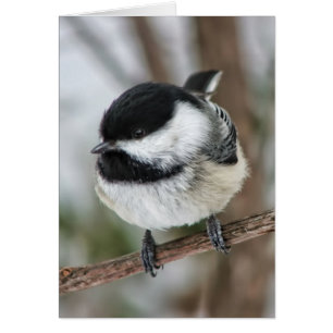 Gullig lite Chickadee Hälsningskort