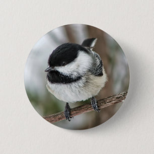 Gullig lite Chickadee Knapp