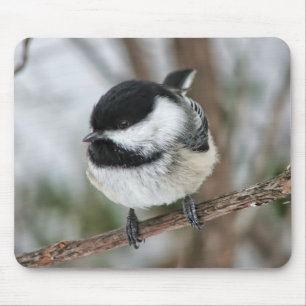 Gullig lite Chickadee Musmatta