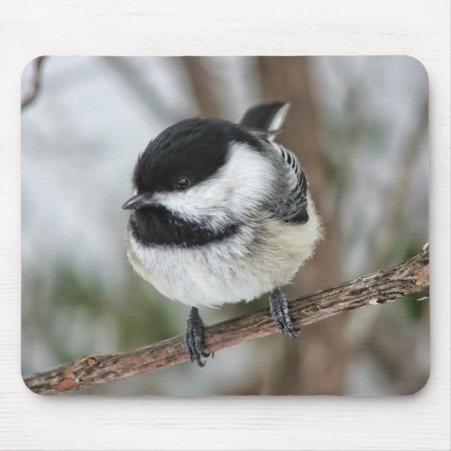 Gullig lite Chickadee Musmatta (Framsidan)