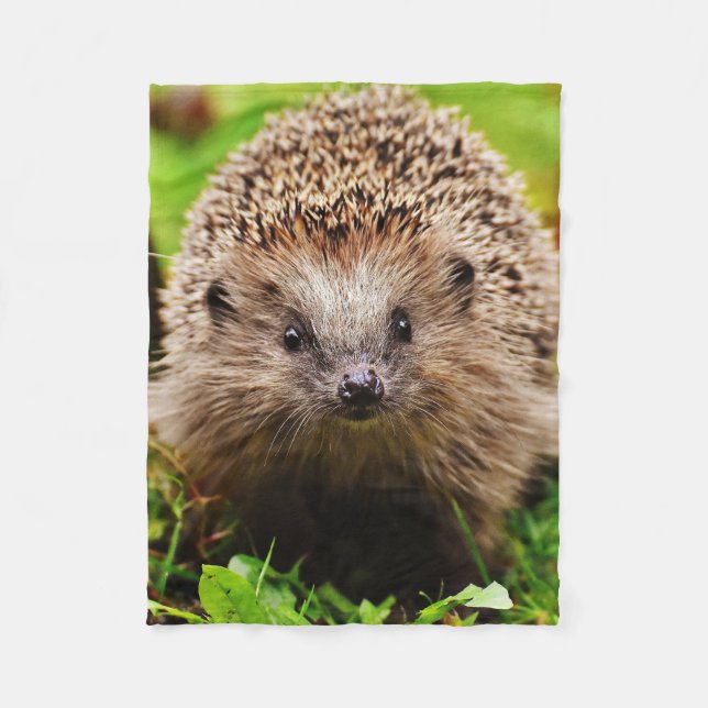 Gullig lite igelkott i skogen fleecefilt (Framsidan)