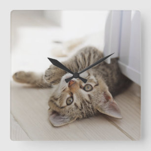 Gullig lite kattunge fyrkantig klocka