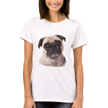 Gullig lite mopshund