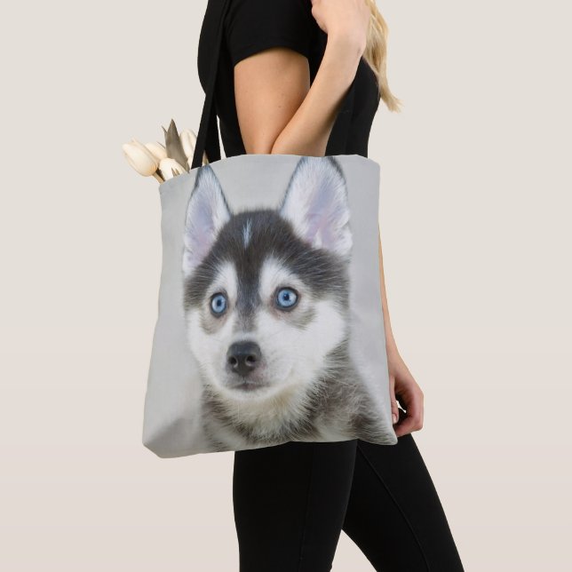 Gullig lite Pomsky valp Tygkasse (Närbild)