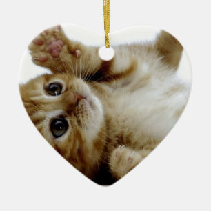gullig lite tabby för ingefära för julgransprydnad keramik
