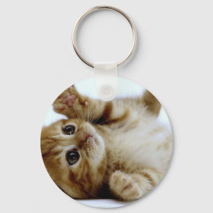 gullig lite tabby för ingefära för nyckelring