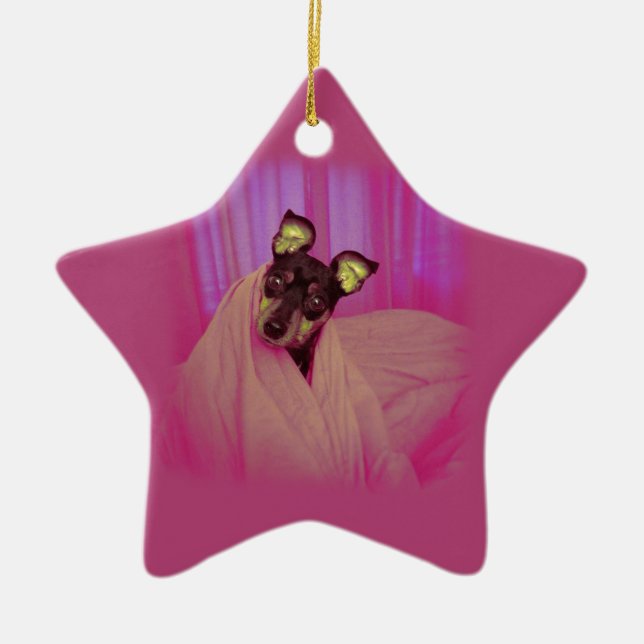 Gullig lite valp julgransprydnad keramik (Framsidan)