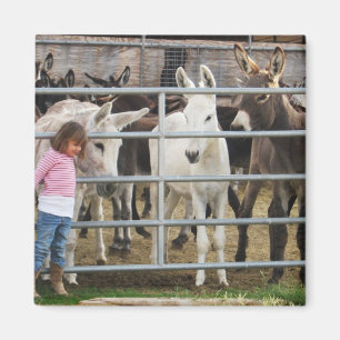 Gullig liten flicka och åsnor magnet