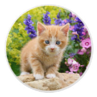 Gullig ljust rödbrun kattkattunge i dekorativa