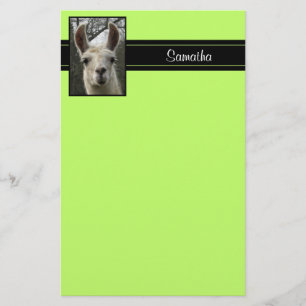 Gullig Llamapersonligbrevpapper Brevpapper