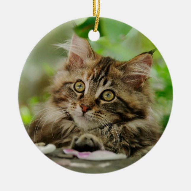 Gullig Maine Coonkattunge Julgransprydnad Keramik (Framsidan)