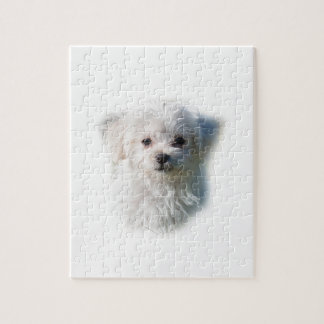 Gullig maltesisk hund pussel