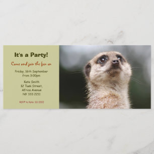 Gullig Meerkat partyinbjudan Inbjudningar