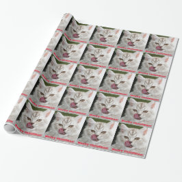 Gullig Meowy jul, rolig kattunge som slår in Presentpapper