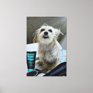Gullig Morkie valphund rolig 40" x 60" kanvastryck