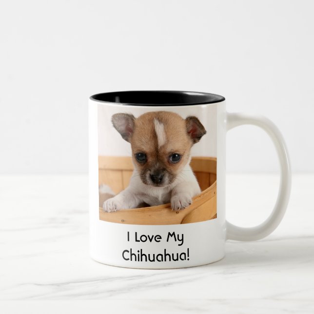 Gullig mugg för kaffe för Chihuahuavalphund (Höger)