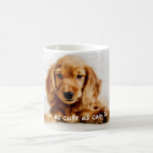 Gullig mugg/kopp för cockerspanielSpanielhund Kaffemugg