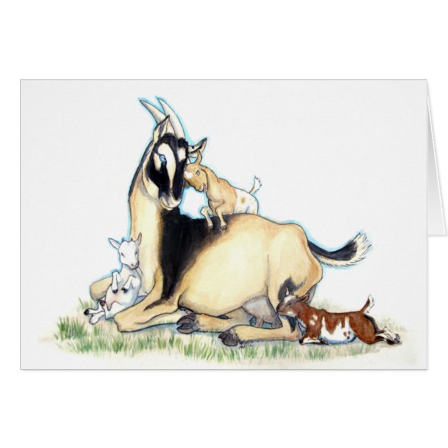 Gullig nigeriansk dvärg- get och ungar hälsningskort (Framsidan Horizontal)