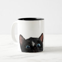 Gullig nyfiken katt