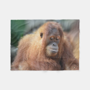 Gullig Orangutan Fleecefilt