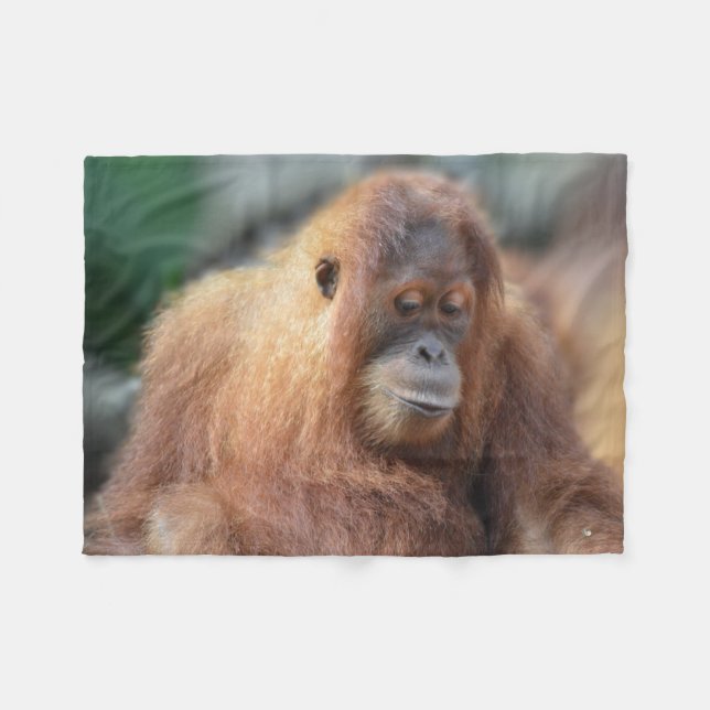 Gullig Orangutan Fleecefilt (Framsidan (Horisontell))
