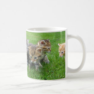 Gullig oskyldig kattungekaffemugg kaffemugg