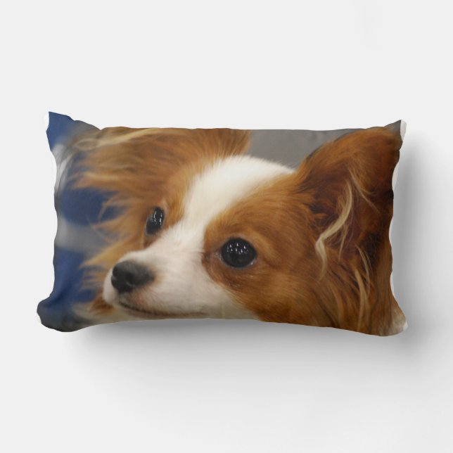 Gullig Papillon hund Lumbarkudde (Framsida)