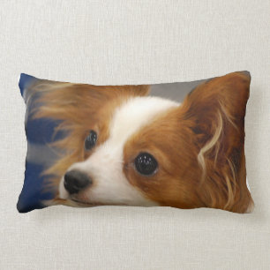 Gullig Papillon hund Lumbarkudde