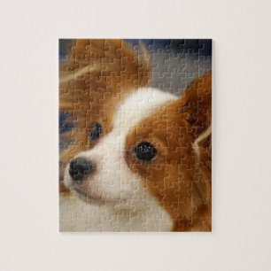 Gullig Papillon hund Pussel