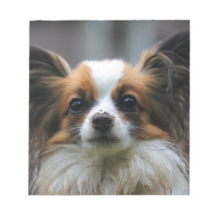 Gullig papillonhund anteckningsblock