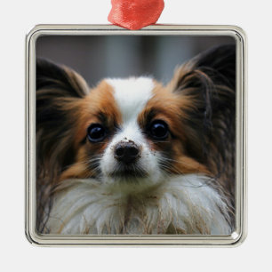 Gullig papillonhund julgransprydnad metall