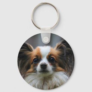 Gullig papillonhund nyckelring