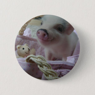 Gullig Piglet Knapp