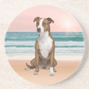 Gullig Pitbull hundsitta på strand med solnedgång Underlägg Sandsten