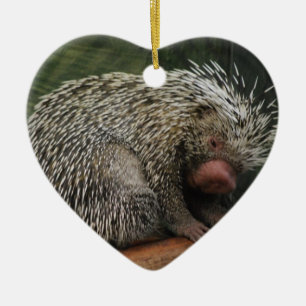 Gullig Porcupineprydnad Julgransprydnad Keramik