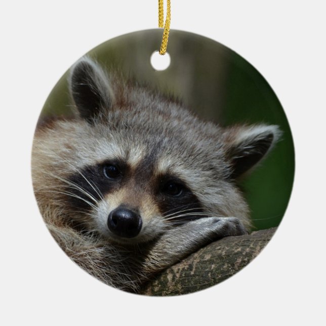 Gullig Raccoon Julgransprydnad Keramik (Framsidan)