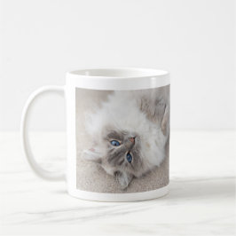 Gullig Ragdoll kattmugg Kaffemugg