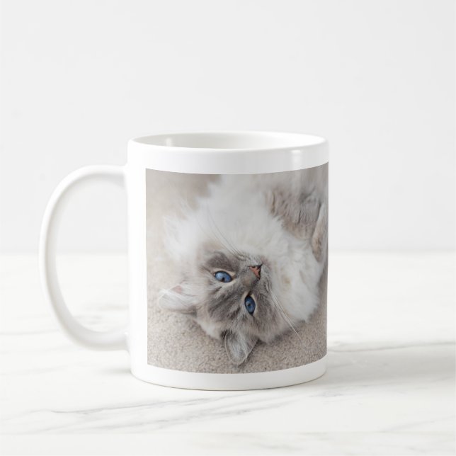 Gullig Ragdoll kattmugg Kaffemugg (Vänster)