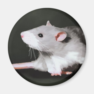 Gullig råttamålning magnet