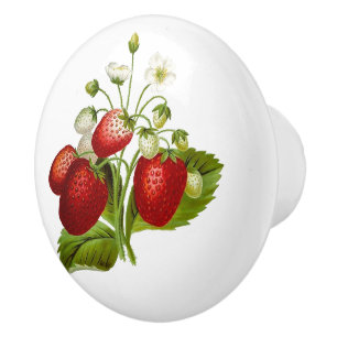 Gullig röd jordgubbedesign knopp